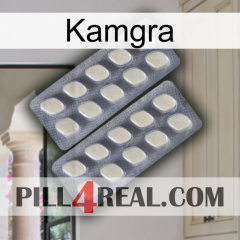 Kamgra 07